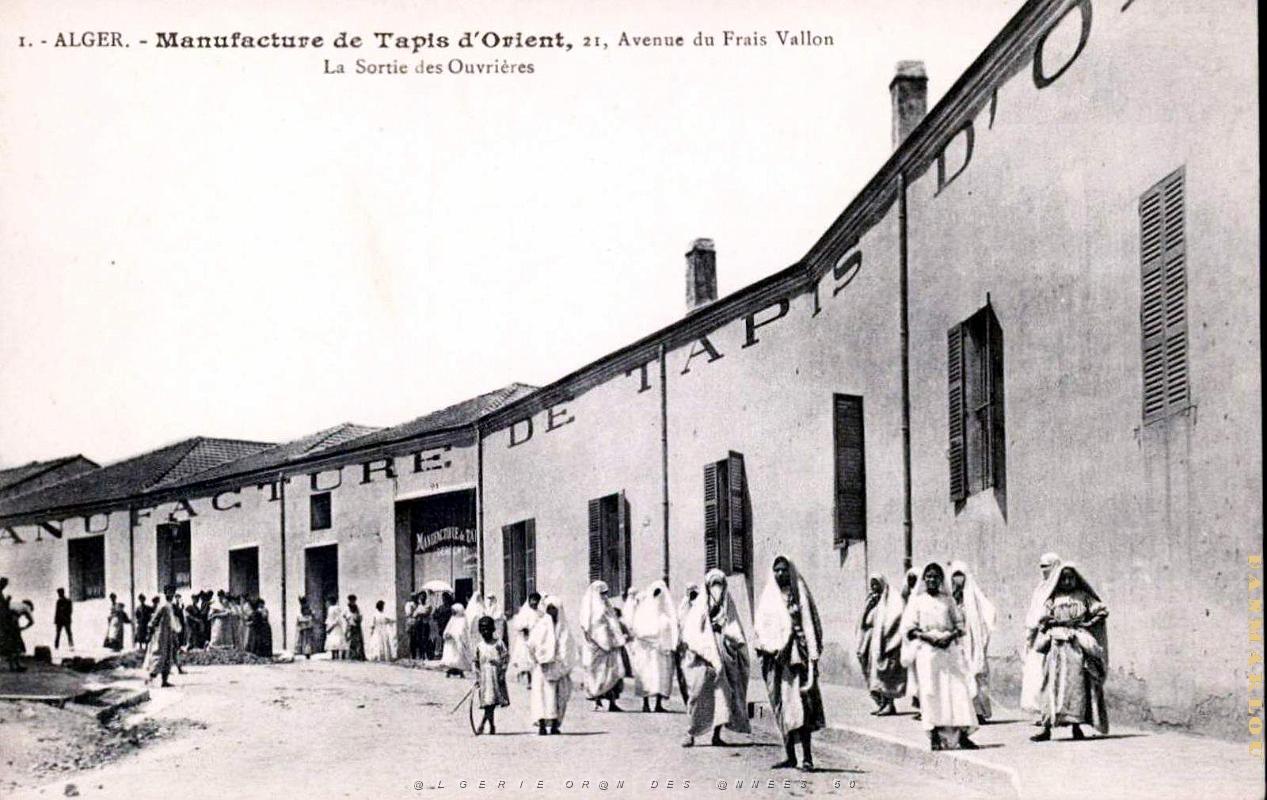 Alger - Avenue du Frais-Vallon - Manufacture tapis.jpg